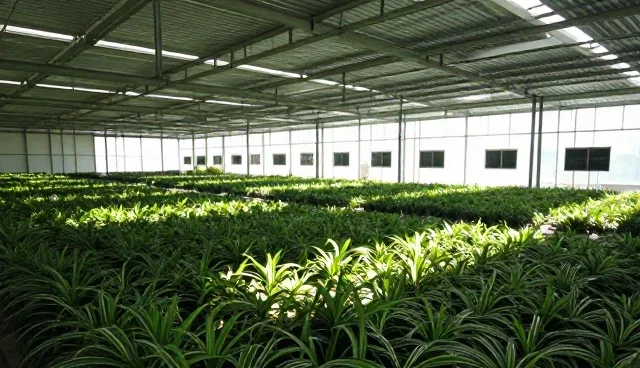技术服务:技术开发业务模式的使用与维护建议