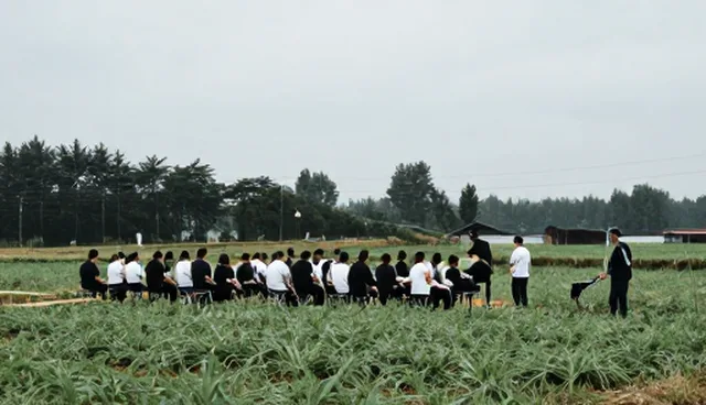 运维服务中性能优化技术培训的发展趋势